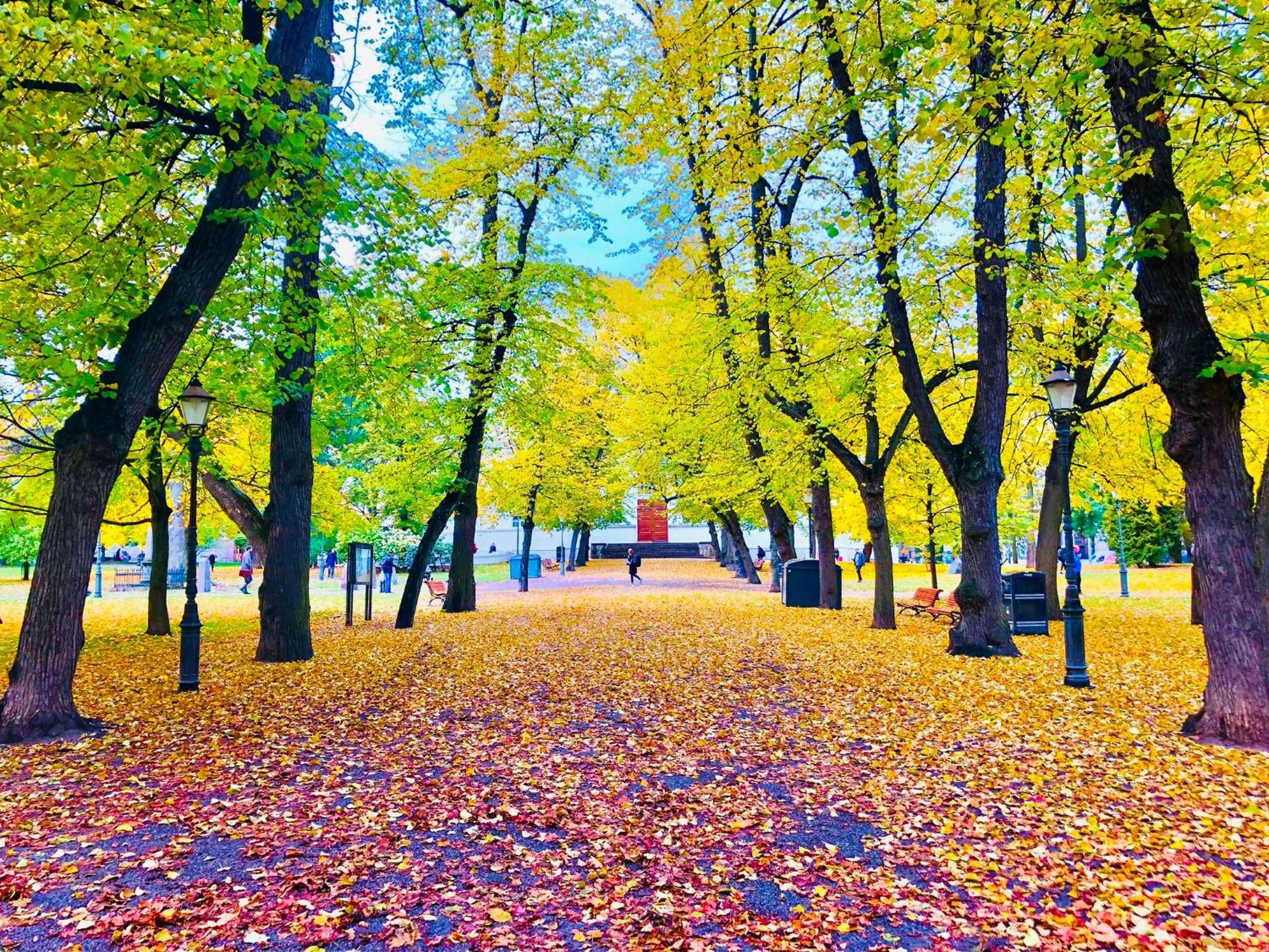 Scandinavian In Heard * Helsingfors