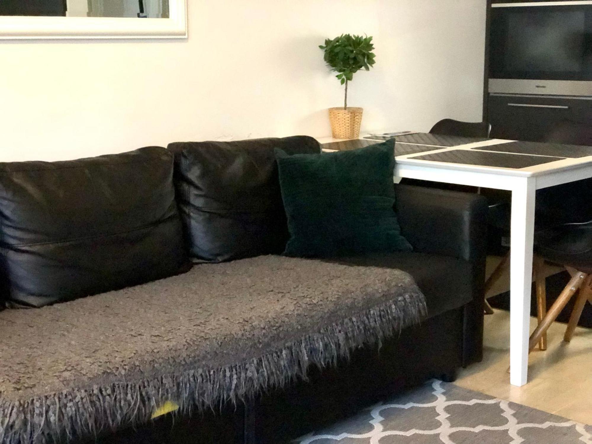 Scandinavian In Heard Apartment